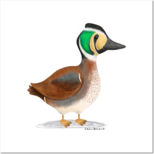 Baikal Teal Duck Posters and Art